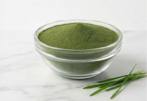 大麥若葉粉(超細研磨)