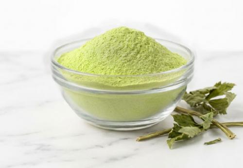 明日葉粉(超細研磨)